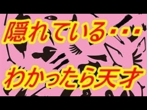 だまし絵 トリックアート 見るだけで頭の良さがわかり 脳を鍛えられる不思議な絵 目の錯覚 Tkhunt