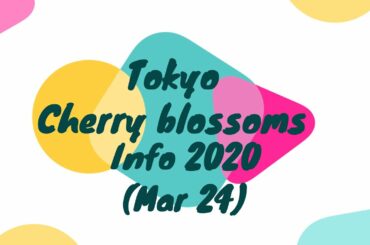 Tokyo cherry blossoms info 2020 (Mar 24) - Japan Culture Guide official video channel