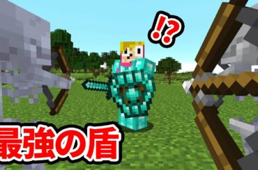 最強のダイヤ盾で襲撃を攻略するマインクラフト【マイクラ】【超鳥犬猿MODクラフト #30】