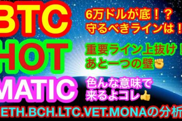 【仮想通貨 BTC.ETH.BCH.LTC.HOT.VET.MONA.MATIC】主要アルトの上昇要因判明😊👍重要ニュースはBNBトークンバーン情報とライトコインが今年は2000ドル❗️❓