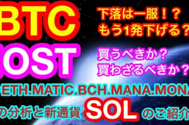 【仮想通貨 BTC.ETH.IOST.MATIC.MONA.BCH.MANA】ビットコインはまだ弱気❗️資金流入を待つべし😊アルトコインは全体的に弱気😭新通貨はDefi関連期待の星『SOL』👍