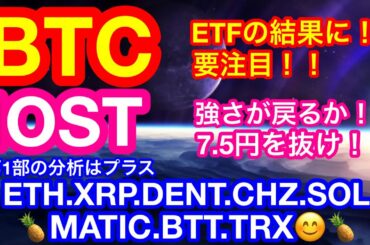 【仮想通貨 BTC.ETH.XRP.IOST.DENT.CHZ.SOL.MATIC.BTT.TRX】ビットコインは今週までETFの期待上げが続く❗️❓注目アルト10通貨の分析と重要ニュース👍😊