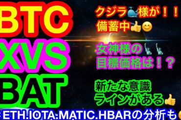 【仮想通貨 BTC.ETH.IOTA.XVS.MATIC.BAT.HBAR】ビットコインは新たなラインを形成中❗️❓MATICはやはり注目通貨‼️BATやHBARにも新たな意識ラインがある❗️👍