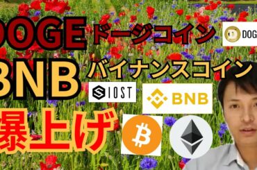 【仮想通貨BTC, ETH, XRP, IOST, DOGE, BNB】ドージコイン&バイナンスコイン爆上げ🚀‼️