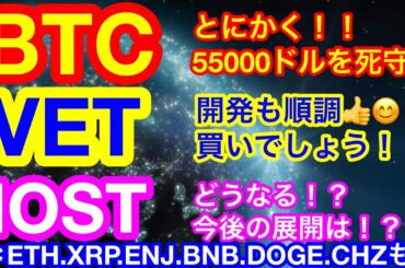 【仮想通貨 BTC.ETH.XRP.IOST.ENJ.VET.BNB.DOGE.CHZ】ビットコインは重要ラインでサポートできるか❗️❓IOSTの上昇にはニュースが必要😭DOGEはイーロンに頼る❗️