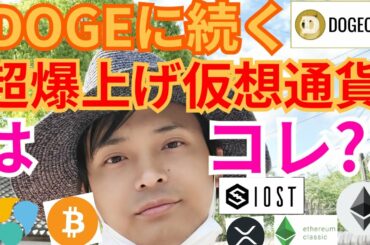 【仮想通貨BTC, ETH, XRP, NEM, IOST, ETC】ドージコイン(DOGE)の続く超爆上げコインはコレ?!