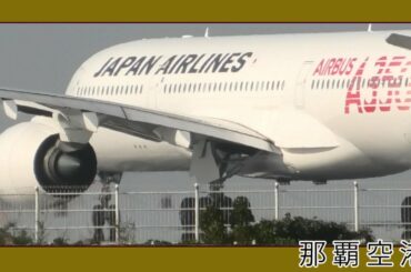 那覇空港 第一滑走路 JAL日本航空  離陸風景 ２月２４日  Naha Airport Okinawa  (瀬長島）