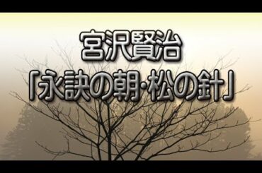 宮沢賢治「永訣の朝・松の針」