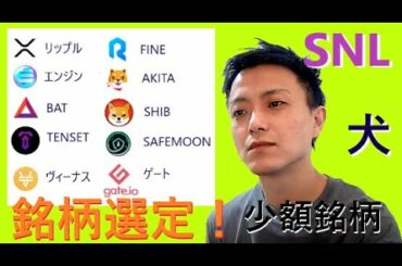 仮想通貨リップル,エンジン,BAT,TENSET,XVS,FINE,SHIB,AKITA,SAFEMOON,GT2021年5月10日銘柄分析