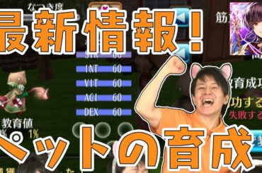 【Live】トーラム｜ペット最新情報！初公開の育成方法をゲーム画面で紹介！ #118