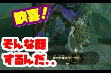 【ゼルダの伝説】３０時間以上かかる鬼クエスト！完全攻略しました！ブレスオブザワイルド【naotin】