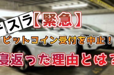 【緊急】テスラ/イーロンマスクがビットコイン決済受付を停止！仮想通貨が大暴落？！