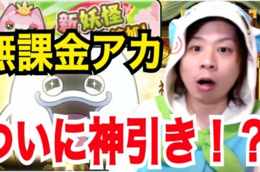 #71 【無課金・サブ垢】 ひな祭りガシャ！ 神引き！？ ひな祭りイベント Yokai Watch 【妖怪ウォッチぷにぷに】