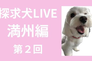 探求犬LIVE　満州人脈２回目