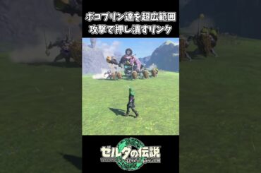 【ティアキン】超広範囲攻撃でボコブリン達を潰すリンク【ゼルダの伝説 ティアーズ オブ ザ キングダム】