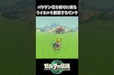 【ティアキン】バクダン花をわざわざ斬りに来るライネル【ゼルダの伝説 ティアーズ オブ ザ キングダム】