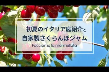 【イタリア暮らし】お庭ツアーとさくらんぼジャムの作り方🍒劇的においしくなるレシピを教えてもらいました。