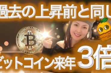 【ビットコイン最新情報】来年に最高値 今買い 直近はいくつかの売り材料 NFTまり