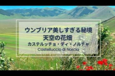 ウンブリアの秘境 カステッルッチョ・ディ・ノルチャ 圧巻! 天空の花畑