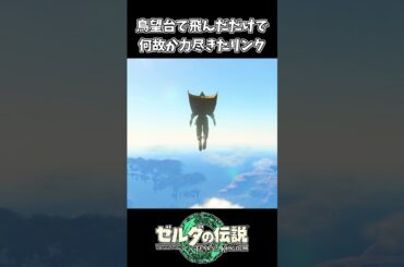 【ティアキン】鳥望台で飛んだだけなのに…【ゼルダの伝説 ティアーズ オブ ザ キングダム】