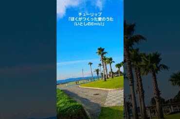 白谷海浜公園に来てます。この曲に合わせてチューリップさんの「ぼくがつくった愛のうた(いとしのEmily)」を聴いてください。#ポッキーのCM Song　#牧瀬里穂　#ひとつ屋根の下で#白谷海浜公園　