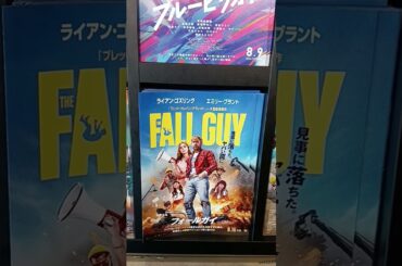 最新映画公開予定をチラシと見る！