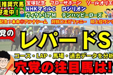 【穴党のレパードS2024】【中京記念◎アルナシーム　〇エピファニー】穴党がレパードステークスで狙いたい馬を紹介！