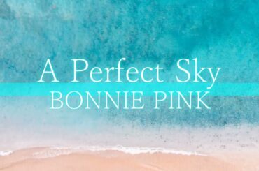 【資生堂 ANESSA CMソング】歌ってみた「A Perfect Sky」BONNIE PINK／2006年《Japanese pop／男／素人／大真面目／赤面》