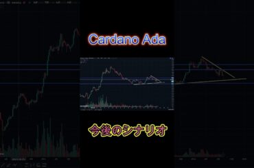 CARDANO ADAのシナリオ公開 #暗号資産 #投資 #仮想通貨 #ada #cardano