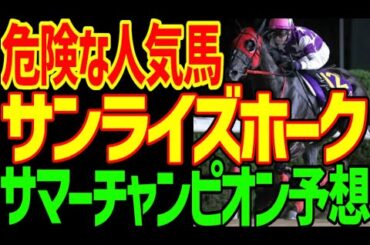 【サマーチャンピオン予想】サンライズホークは危険な人気馬！人気を吸う出汁！JRA勢の騎手が台風ですべて乗り替わり！調教も出来ないなら地方勢台頭あるぞ！2024年サマーチャンピオン予想動画【私の競馬論】