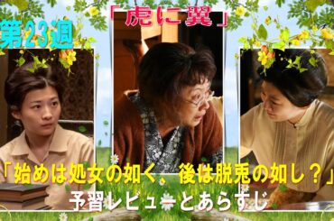 『虎に翼』第23週「始めは処女の如く、後は脱兎の如し？」予習レビューとあらすじ