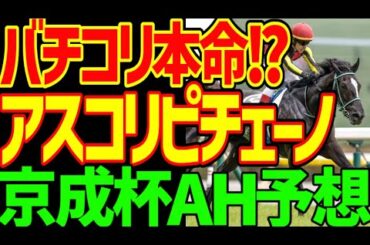 【アスコリピチェーノだ！】桜花賞2着でG1を1勝！ルメール騎乗で55.5キロなら間違いなく本命でいい！しかしサマーマイルガチ勢ディオが台頭！駄2024年京成杯AH予想動画【私の競馬論】【競馬ゆっくり】