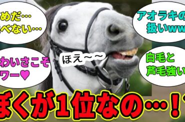 【アイドルホースオーディション2024】予選は衝撃の結果に⁉あなたの愛馬は通過した⁉に対するみんなの反応集【競馬の反応集】