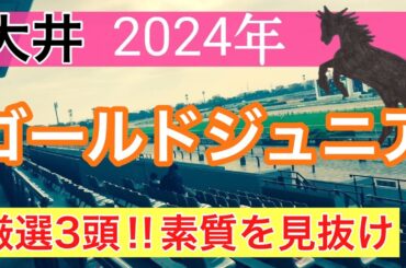 【ゴールドジュニア2024】地方競馬予想(直近地方競馬予想187戦140的中)