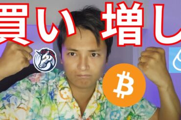 仮想通貨○○を今買い増した理由を解説