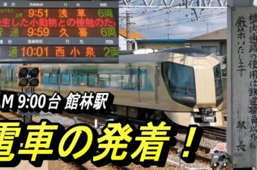 【この日も、上り特急リバティりょうもうは 満席のようでした。】未だ人気の衰えないリバティなど、館林駅で電車の発着模様を撮影！