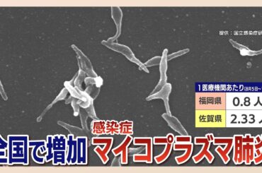 若い世代で「マイコプラズマ肺炎」増加中　感染から発症まで２～３週間の潜伏期間　呼吸器に持病ある人は重症化のおそれ