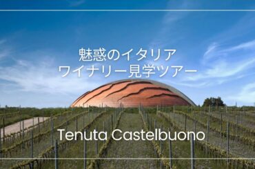 ［ワイン好き必見！］イタリアで魅惑のワイナリー試飲ツアー［モンテファルコ Tenuta Castelbuono］