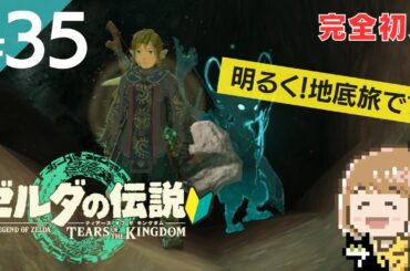 #35 壮大な冒険の始まり【ゼルダの伝説 ティアーズオブザキングダム】※完全初見