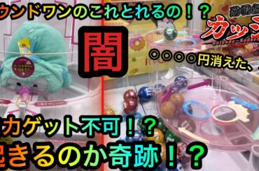 【クレーンゲーム】闇のラウンドワンを攻略せよ！地獄の2段クルーンに挑む調査団だが！？【UFOキャッチャー】【ROUND1】