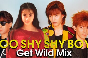 観月ありさ｜TOO SHY SHY BOY! （Get Wild Mix）