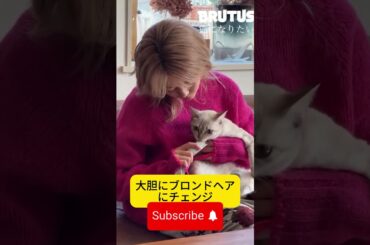 高畑充希、金髪ヘアで愛猫とほっこり動画！