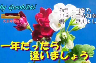 「一年たったら逢いましょう」/戸川よし乃　Japanese Taishogoto 大正琴　 /Gerobikki