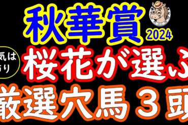 秋華賞2024桜花が選ぶ厳選穴馬３頭！二強構成のチェルヴィニアやステレンボッシュにトライアルレース勝ち馬クイーンズウォークやクリスマスパレードを負かす馬はいるのか？