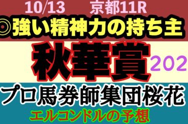 エルコンドル氏の秋華賞2024予想！！ステレンボッシュの状態どう見る？京都の今の芝は内も悪くない！？牝馬三冠レース最後の行方は？！