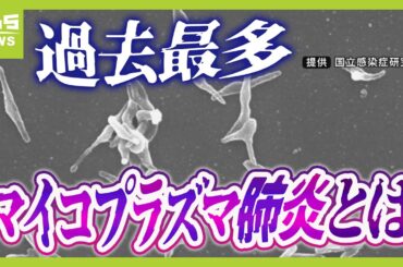 【マイコプラズマ肺炎って？】８年ぶり感染拡大で『過去最多』...症状消えても感染力あり「歩く肺炎」とも　実は「うがい」はあまり予防効果なし！？（2024年10月9日）