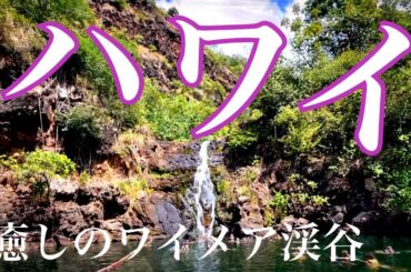 ハワイ【またオアフ島一周】ワイメアの滝・ノースショアどこでもプライベートツアー