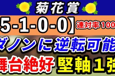 菊花賞 2024【鉄板注目馬⇒連対率100％(5-1-0-0)】長距離戦でダノンデサイルに逆転可能！舞台絶好の堅軸1強はコレ！