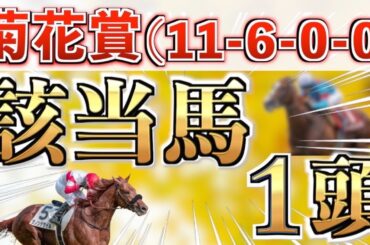 【菊花賞2024】7年連続的中へ！全条件パーフェクト◉想定6番人気を狙い撃つ！【競馬予想】