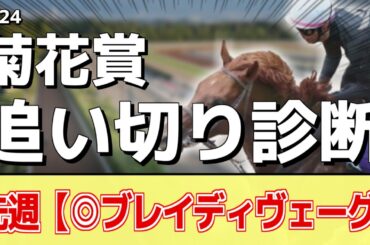 追い切り徹底解説！【菊花賞2024】アーバンシック、ダノンデサイルなどの状態はどうか？調教S評価は2頭！